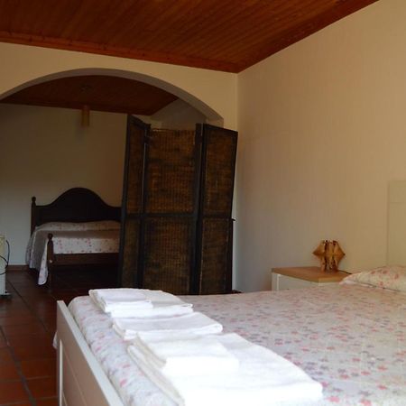 Apartament Casa Do Tejo Constância Zewnętrze zdjęcie