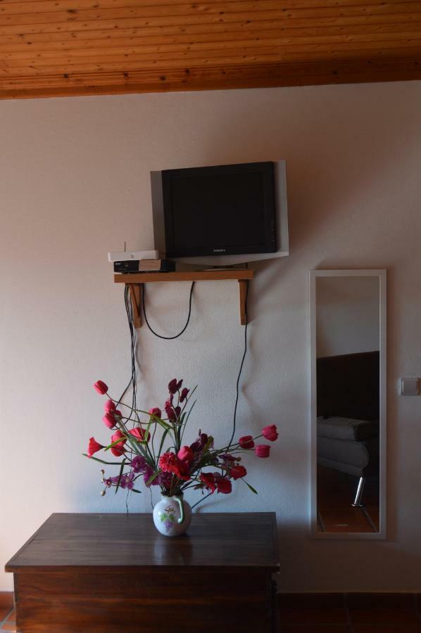 Apartament Casa Do Tejo Constância Zewnętrze zdjęcie